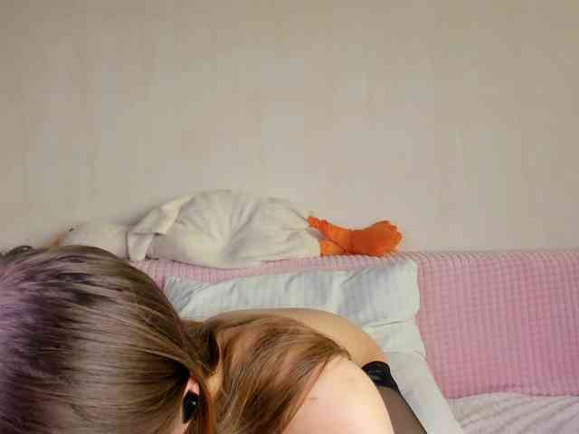 may-flower webcam