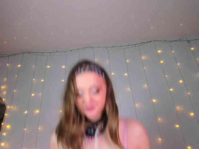 may-flower webcam