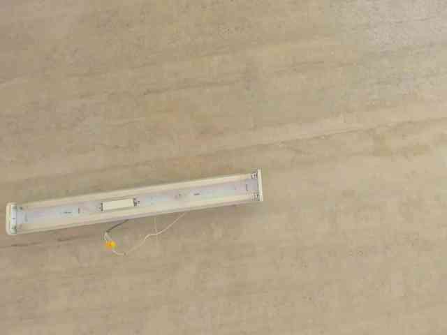 may-flower webcam