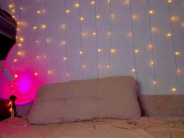 may-flower webcam