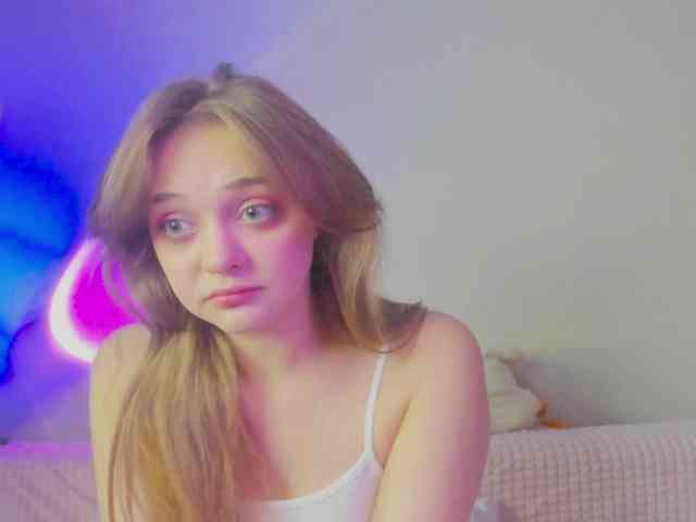 may-flower webcam