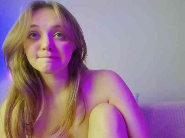 may-flower webcam