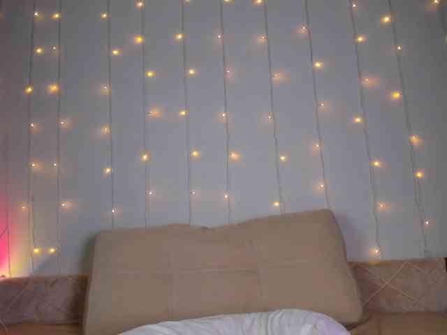 may-flower webcam