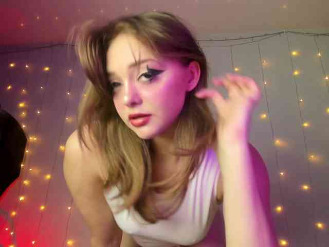 may-flower webcam