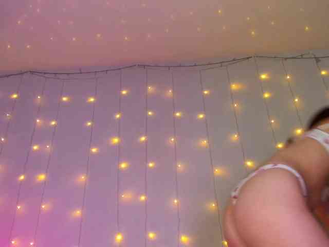 may-flower webcam