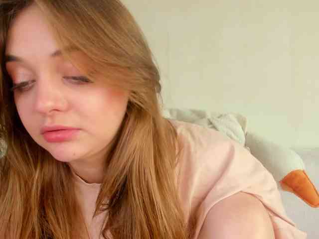 may-flower webcam