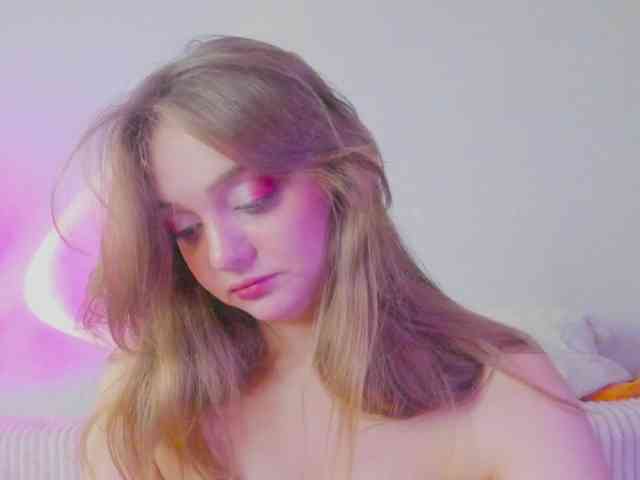 may-flower webcam