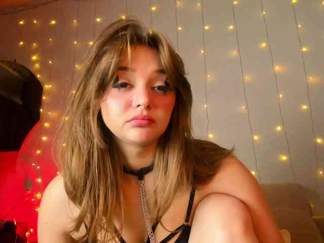 may-flower webcam