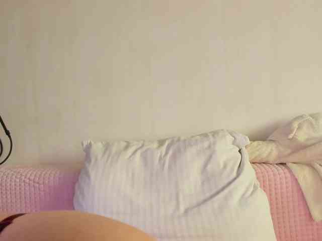 may-flower webcam