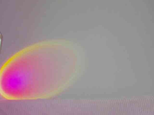 may-flower webcam
