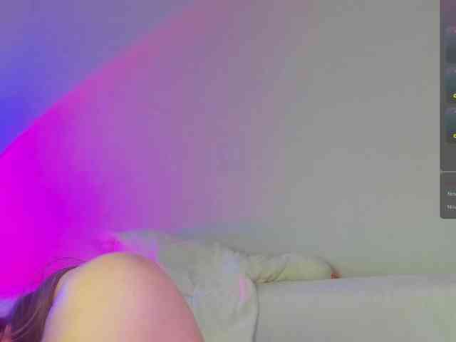 may-flower webcam