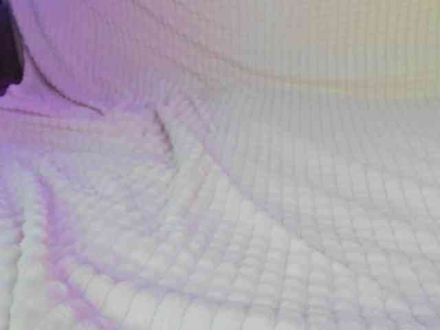 may-flower webcam