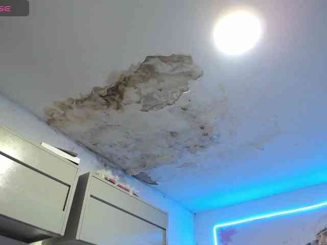 cristal-horny19