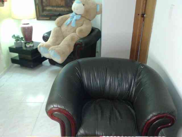 alexa-kiut webcam
