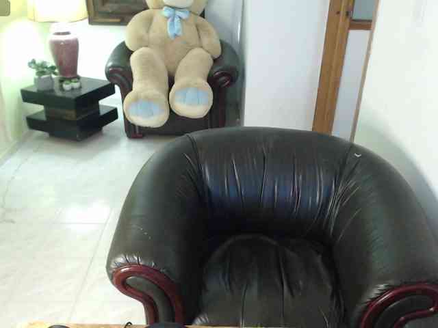 alexa-kiut webcam