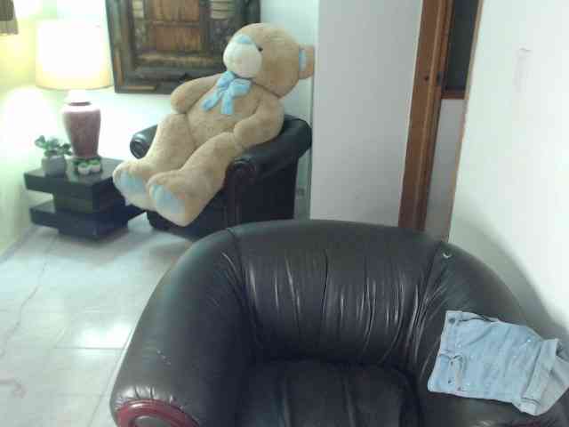 alexa-kiut webcam