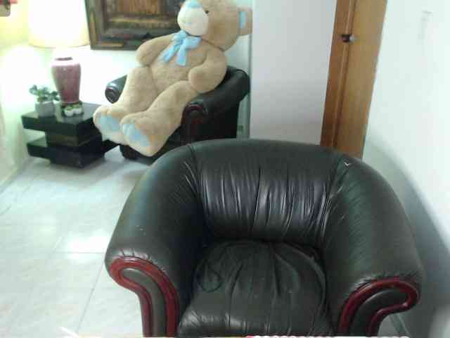 alexa-kiut webcam