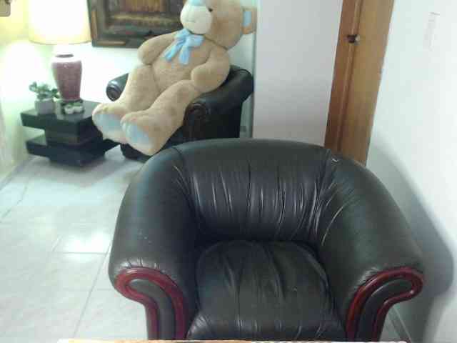 alexa-kiut webcam