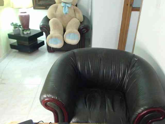 alexa-kiut webcam