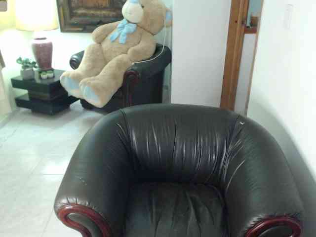 alexa-kiut webcam