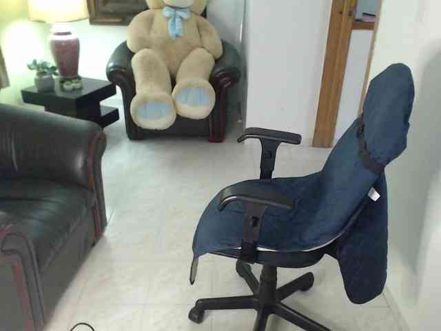 alexa-kiut webcam
