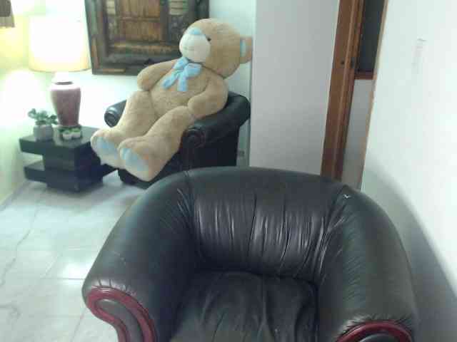 alexa-kiut webcam