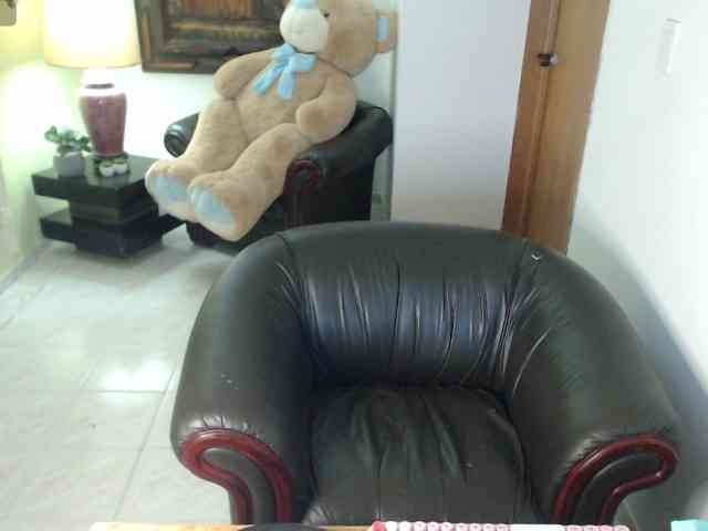 alexa-kiut webcam
