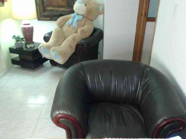 alexa-kiut webcam