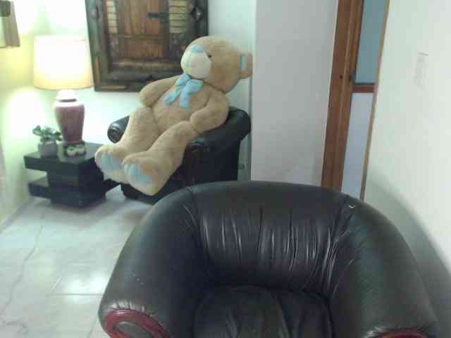 alexa-kiut webcam