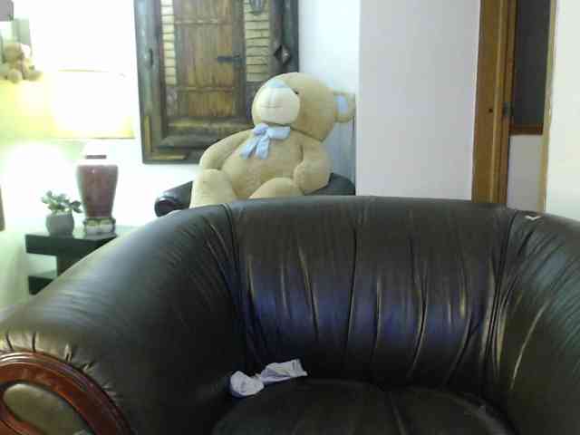 alexa-kiut webcam