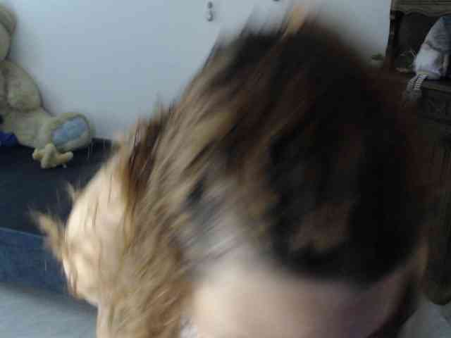 alexa-kiut webcam