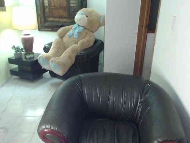 alexa-kiut webcam