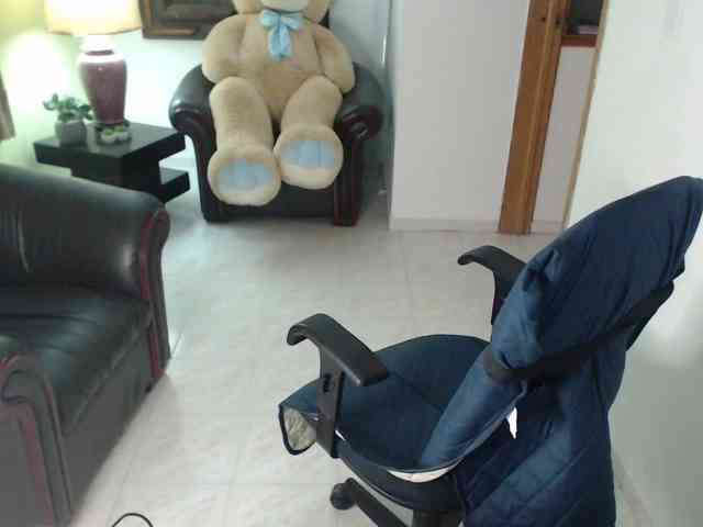 alexa-kiut webcam