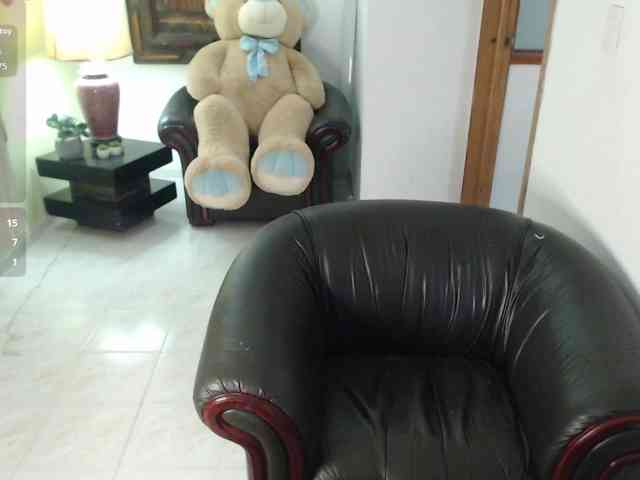 alexa-kiut webcam