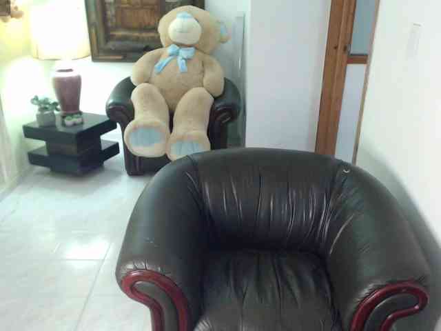 alexa-kiut webcam