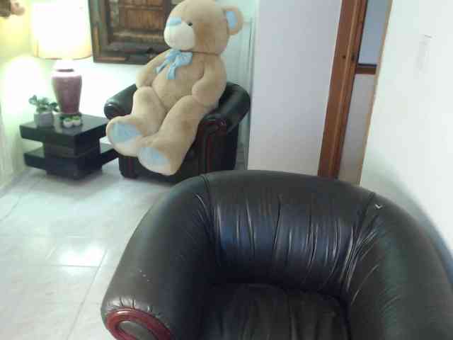 alexa-kiut webcam