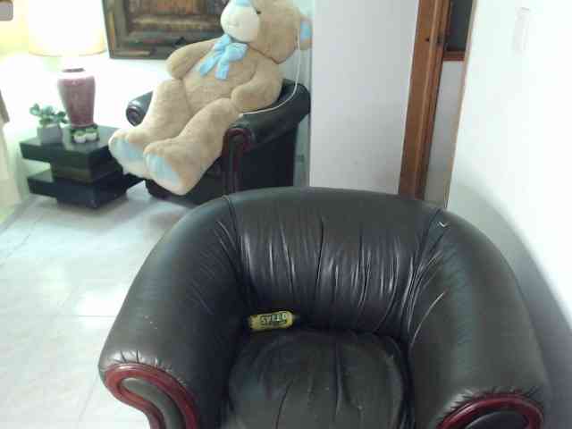 alexa-kiut webcam