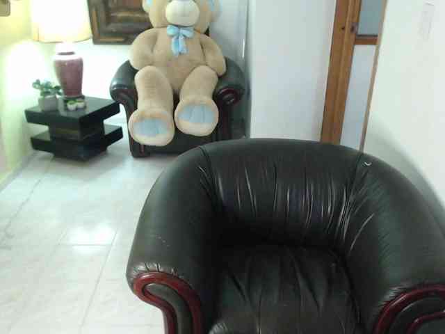 alexa-kiut webcam