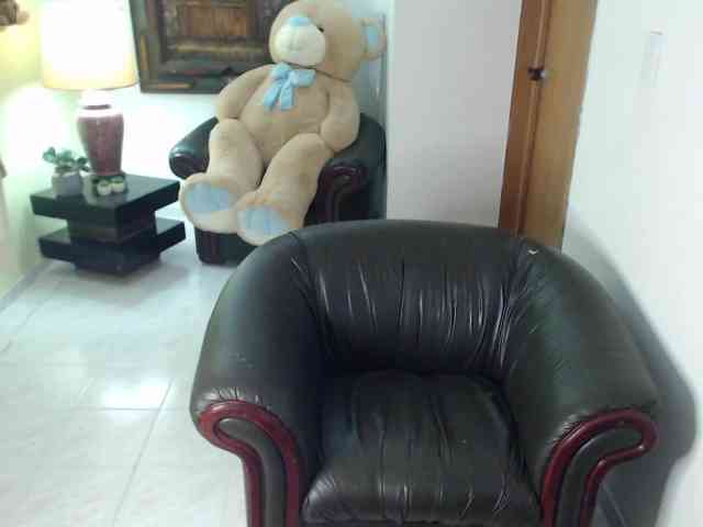 alexa-kiut webcam