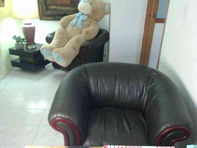 alexa-kiut webcam