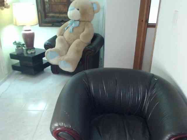 alexa-kiut webcam