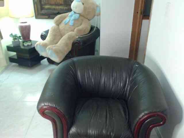 alexa-kiut webcam