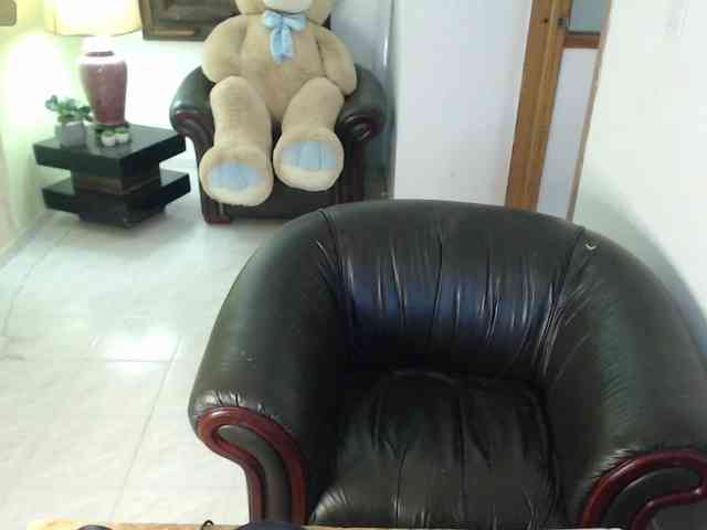 alexa-kiut webcam