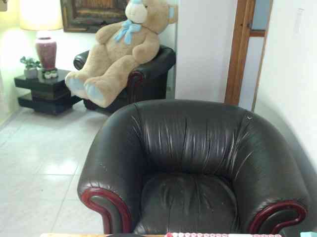 alexa-kiut webcam