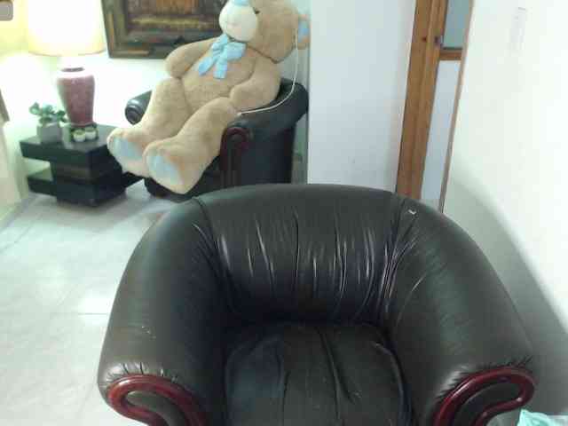 alexa-kiut webcam