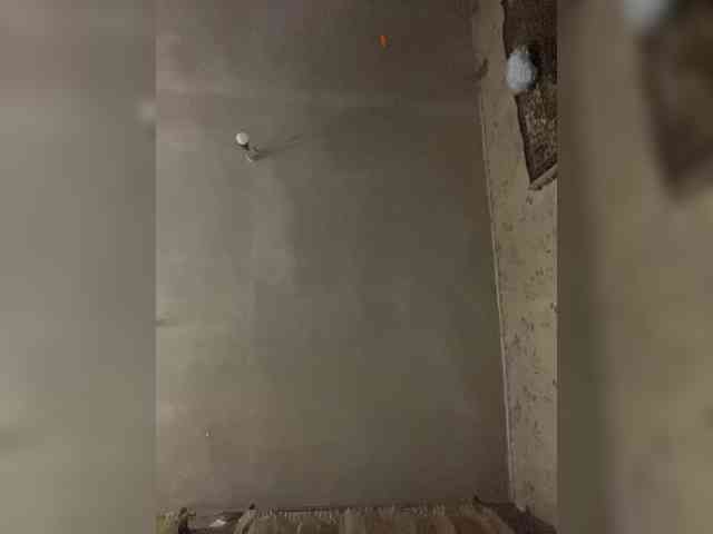 Alina1965 webcam