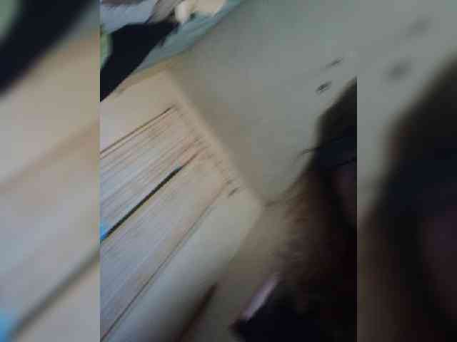Alina1965 webcam
