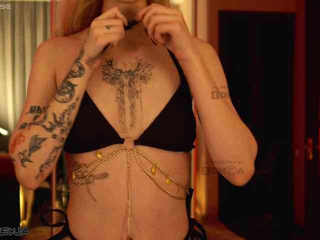 ManiFreyja webcam