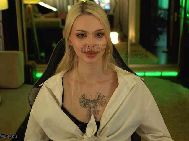 ManiFreyja webcam