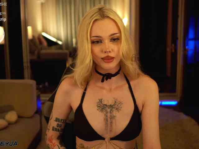ManiFreyja webcam